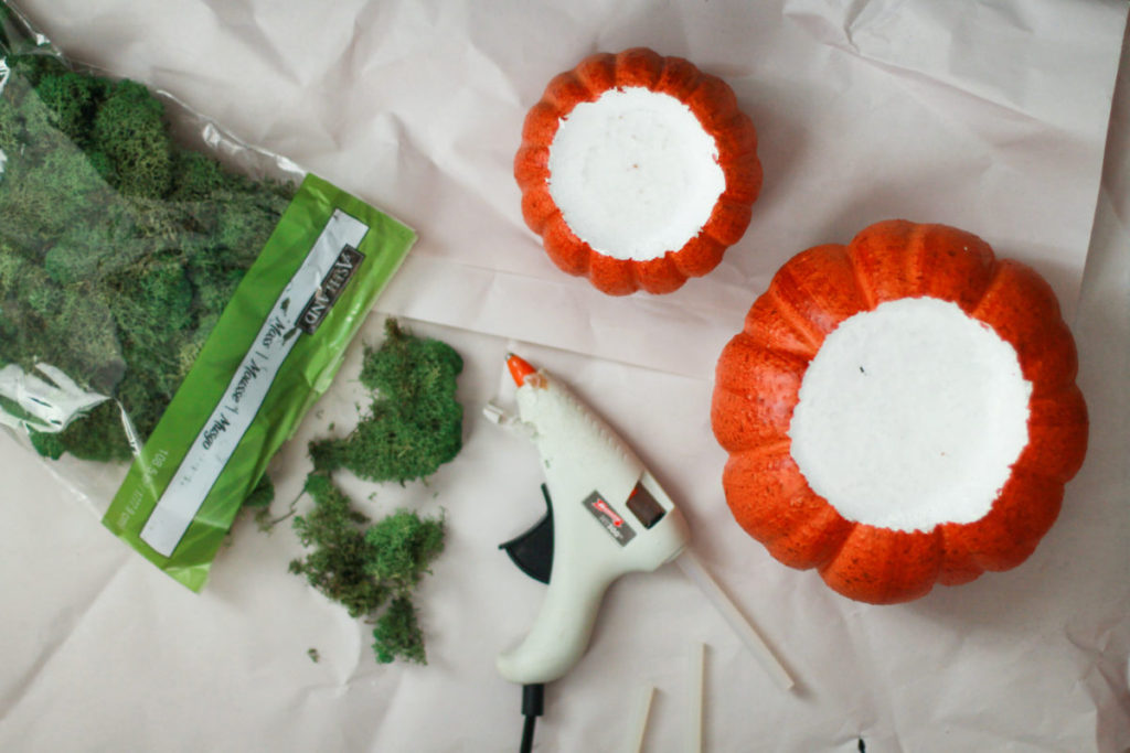 Pumpkin Succulent Centerpieces